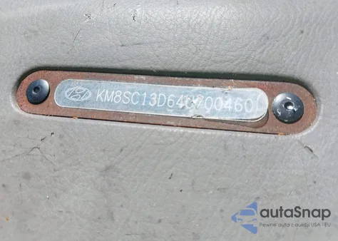 2004 Hyundai Santa Fe Gls из США, поврежденный, VIN KM8SC13D64U700460